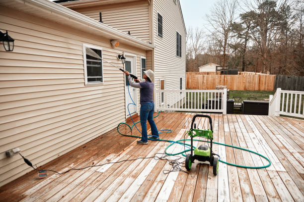 Best Exterior Home Cleaning  in Marysville, MI