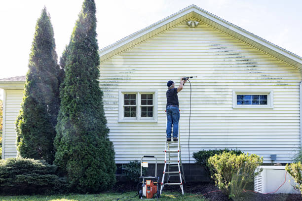 Why Choose Our Certified Pressure Washing Experts for Your Project Needs in Marysville, MI?