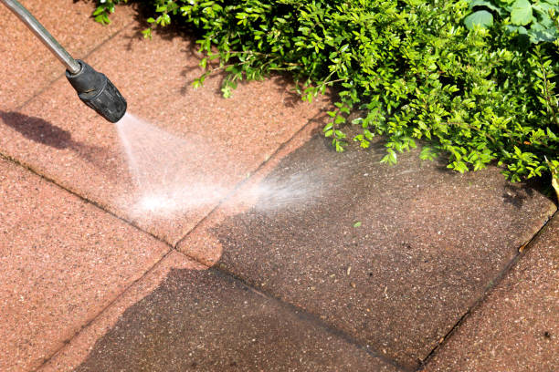 Best Roof Power Washing Services  in Marysville, MI